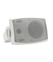 Generic Side Speaker 20W
