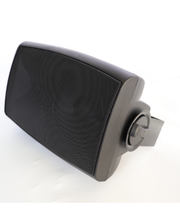Generic Side Speaker 30W