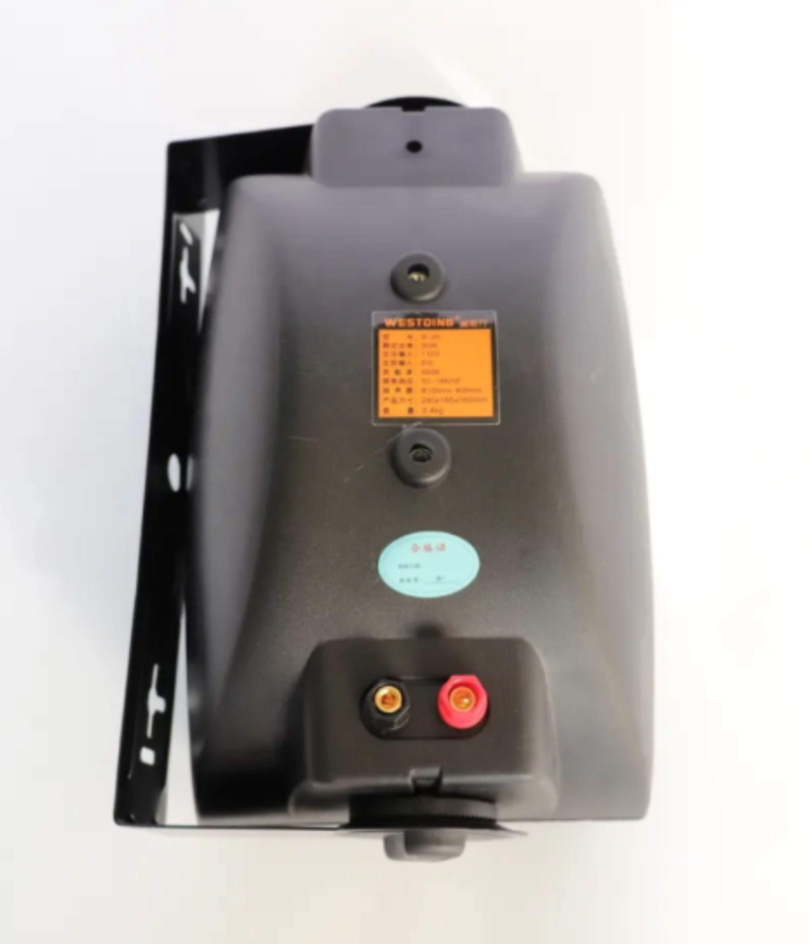 Generic Side Speaker 30W