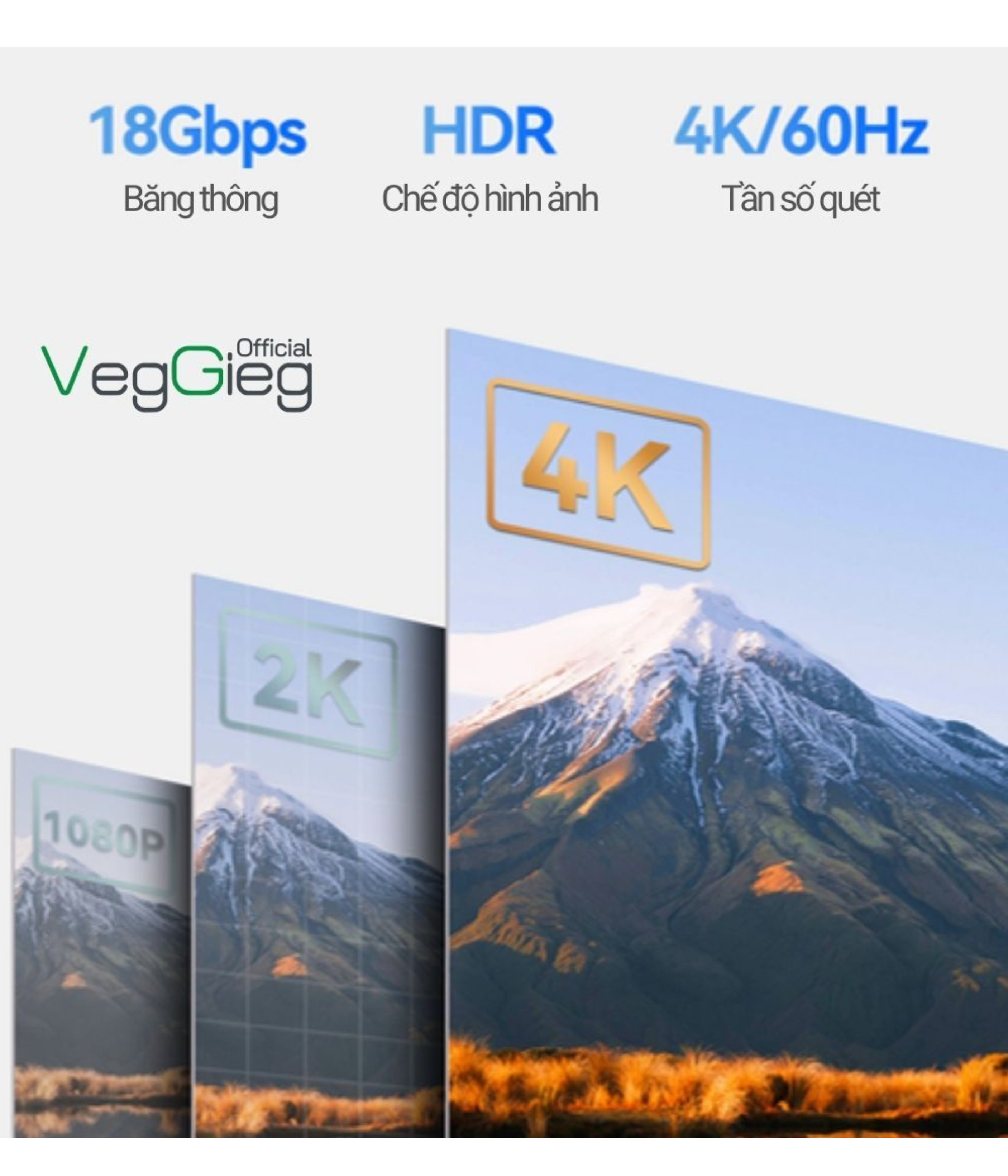 VEGGIEG HDMI  ultra cable 4K