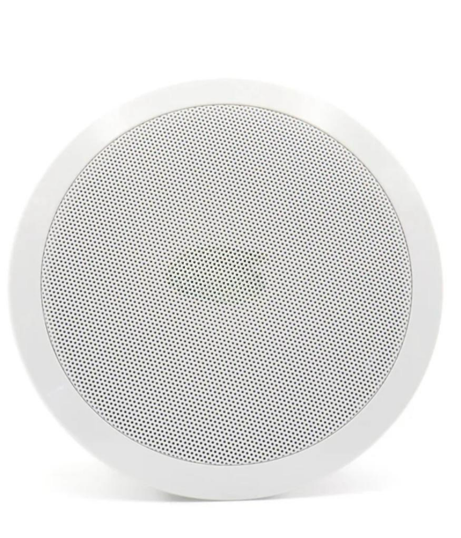 Low Impedance Ceiling Speaker