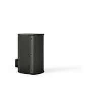 BOSE ArenaMatch AMU105 compact high-performance loudspeaker