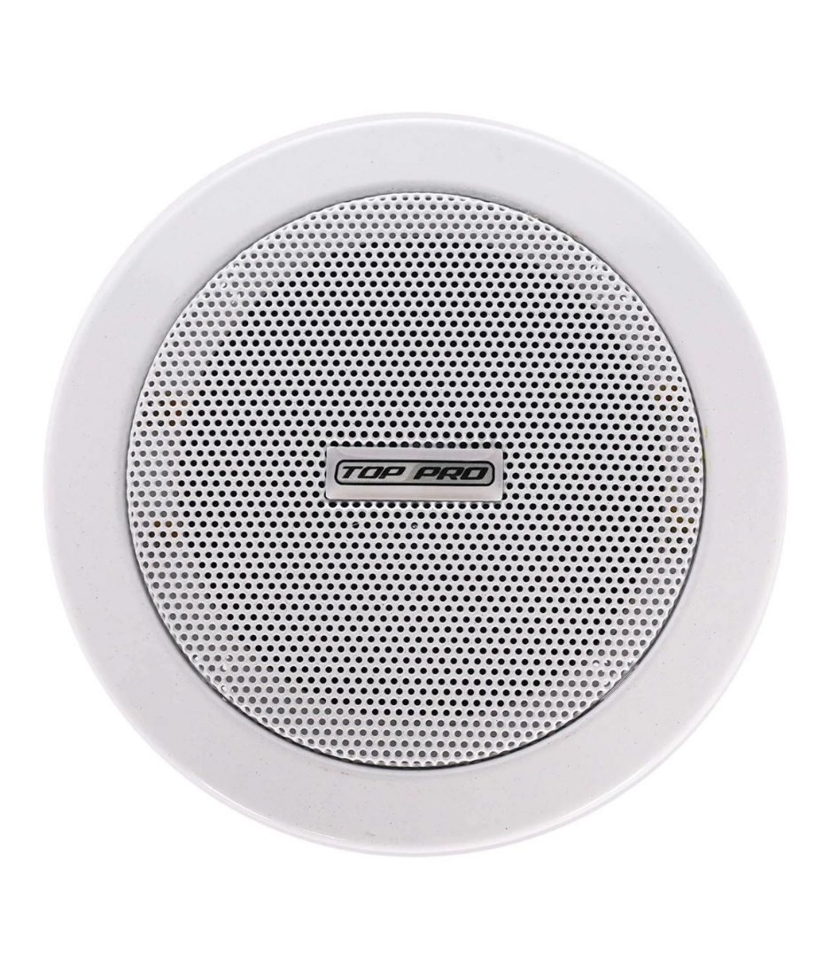 Low Impedance Ceiling Speaker