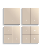 metal zigbee smart switch gold